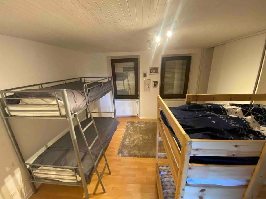 Appartement Emile Galle. Goetzenbruck Εξωτερικό φωτογραφία